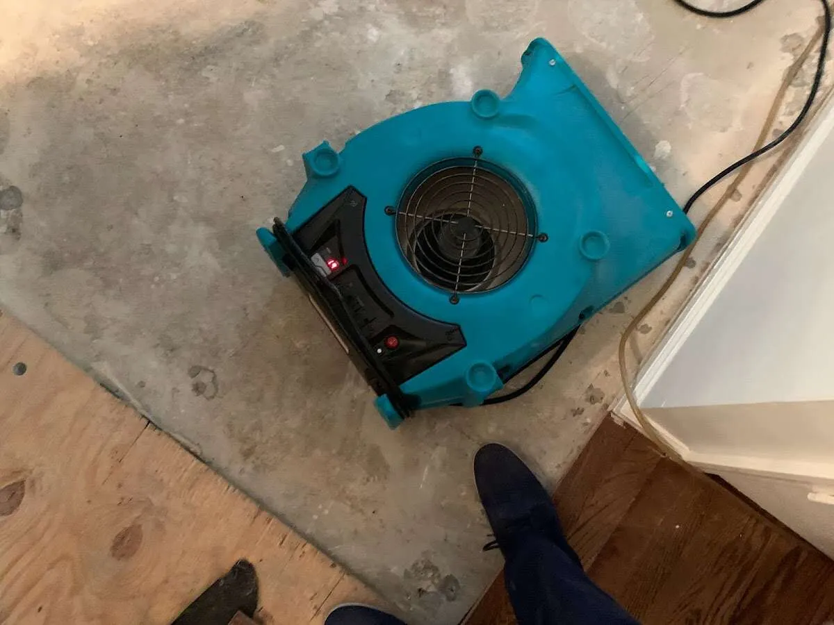 Air mover drying subfloor during Leak Detection & Repair in Hoquiam